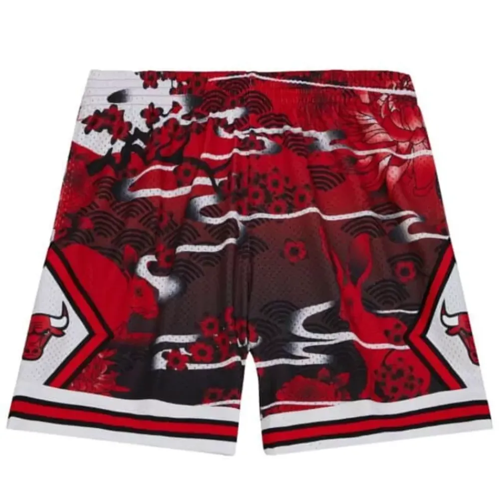 Apparel Mitchell & Ness Shorts-Asian Heritage Swingman Chicago Bulls 1997 Shorts 5.0