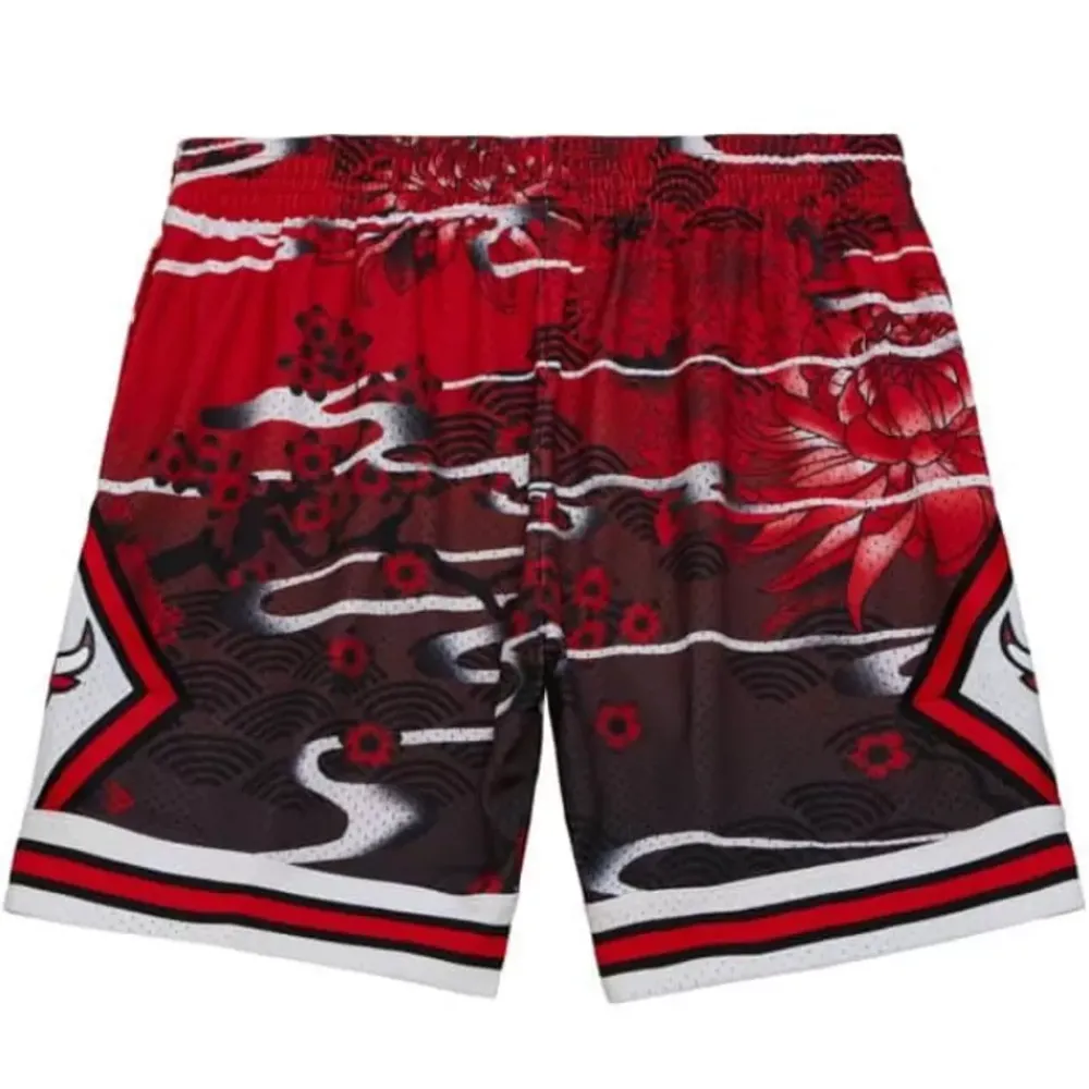 Apparel Mitchell & Ness Shorts-Asian Heritage Swingman Chicago Bulls 1997 Shorts 5.0