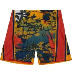 Apparel Mitchell & Ness Shorts-Asian Heritage Swingman Golden State Warriors 2009 Shorts 5.0