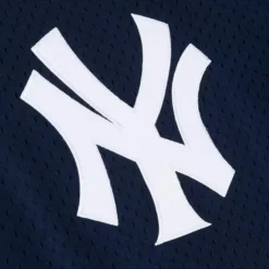 Jerseys Mitchell & Ness -Authentic Bernie Williams New York Yankees 1995 Pullover Jersey