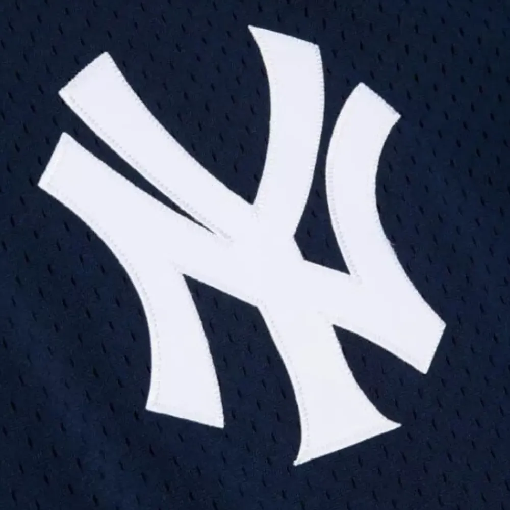 Jerseys Mitchell & Ness -Authentic Bernie Williams New York Yankees 1995 Pullover Jersey