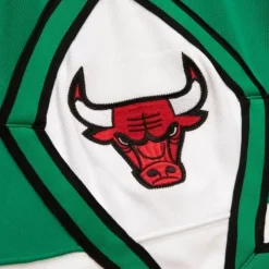 Shorts Mitchell & Ness -Authentic Chicago Bulls 2008-09 Shorts