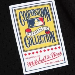 Jerseys Mitchell & Ness -Authentic Frank Thomas Chicago White Sox 1993 Pullover Jersey