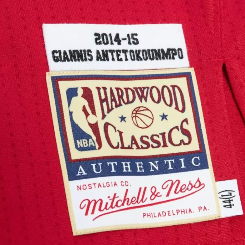 Jerseys Mitchell & Ness -Authentic Giannis Antetokounmpo Milwaukee Bucks Home 2014-15 Jersey