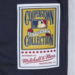 Jerseys Mitchell & Ness -Authentic Ichiro Suzuki Seattle Mariners 2010 Bp Jersey