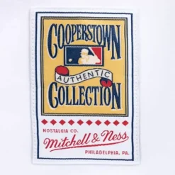 Jerseys Mitchell & Ness -Authentic Jersey Atlanta Braves Home 1995 Chipper Jones