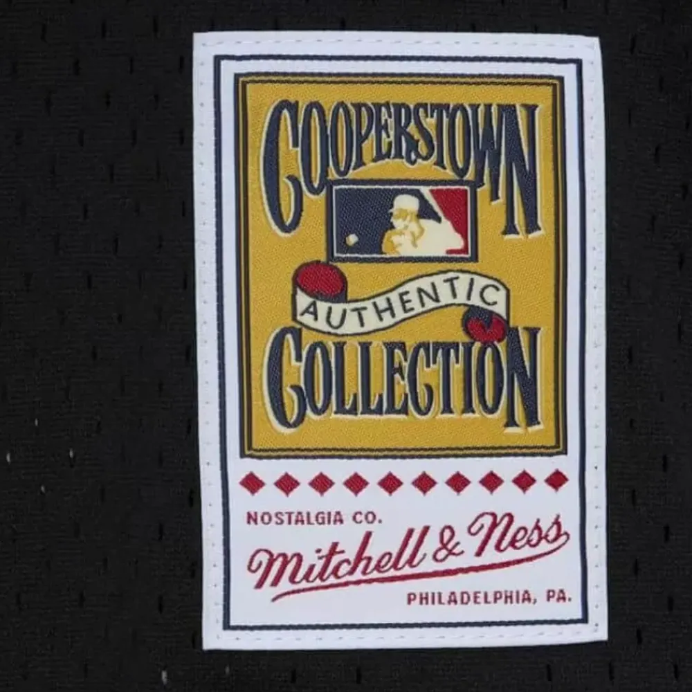 Jerseys Mitchell & Ness -Authentic Lance Berkman Houston Astros 2002 Bp Jersey