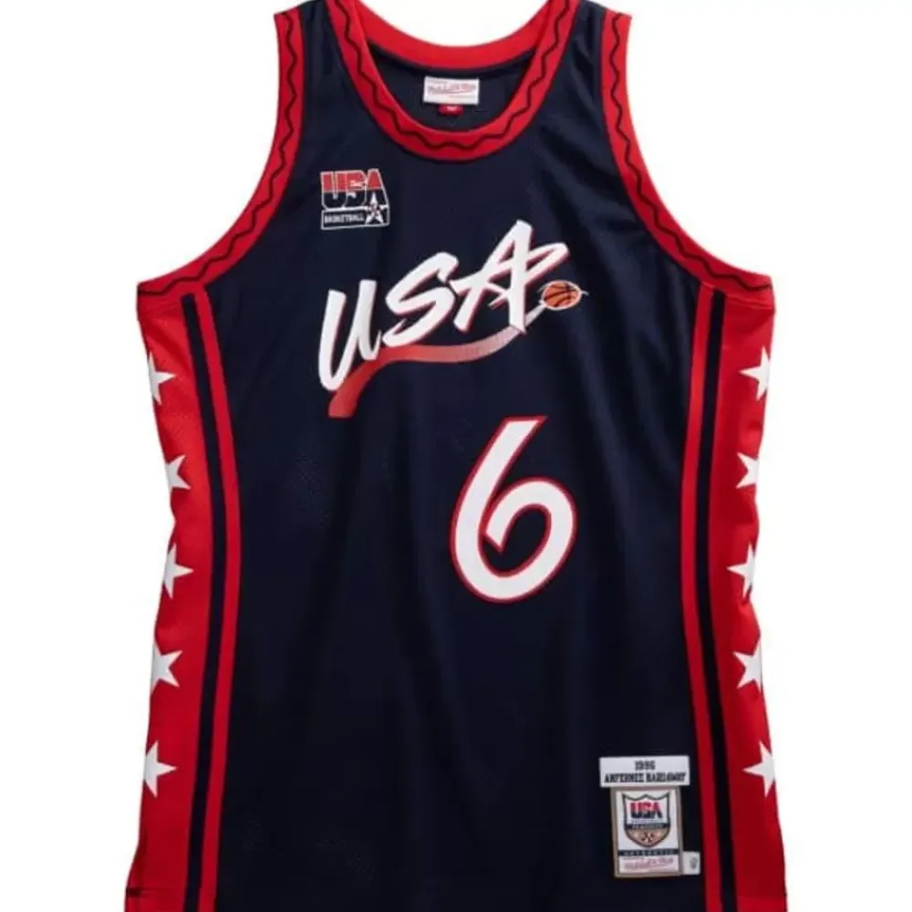 Jerseys Mitchell & Ness -Authentic Penny Hardaway Team Usa Mens 1996-97 Jersey