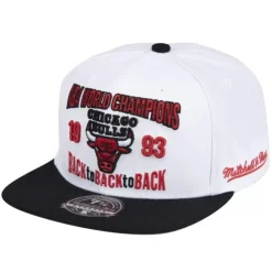 Headwear Mitchell & Ness -Back To 93 Fitted