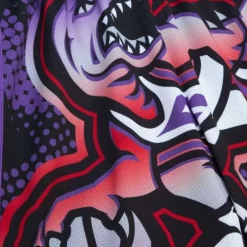 Apparel Mitchell & Ness Shorts-Big Face 7.0 Fashion Shorts Toronto Raptors