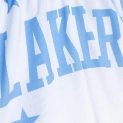Apparel Mitchell & Ness Shorts-Big Face Shorts Los Angeles Lakers