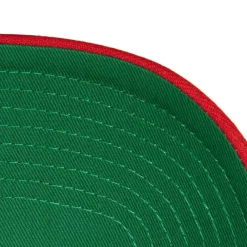 Headwear Mitchell & Ness -Boom Text Pro Snapback Hwc Toronto Raptors