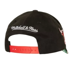Headwear Mitchell & Ness -Brushed Past Ya Pro Snapback Hwc Chicago Bulls