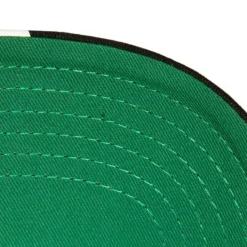 Headwear Mitchell & Ness -Brushed Past Ya Pro Snapback Hwc Chicago Bulls