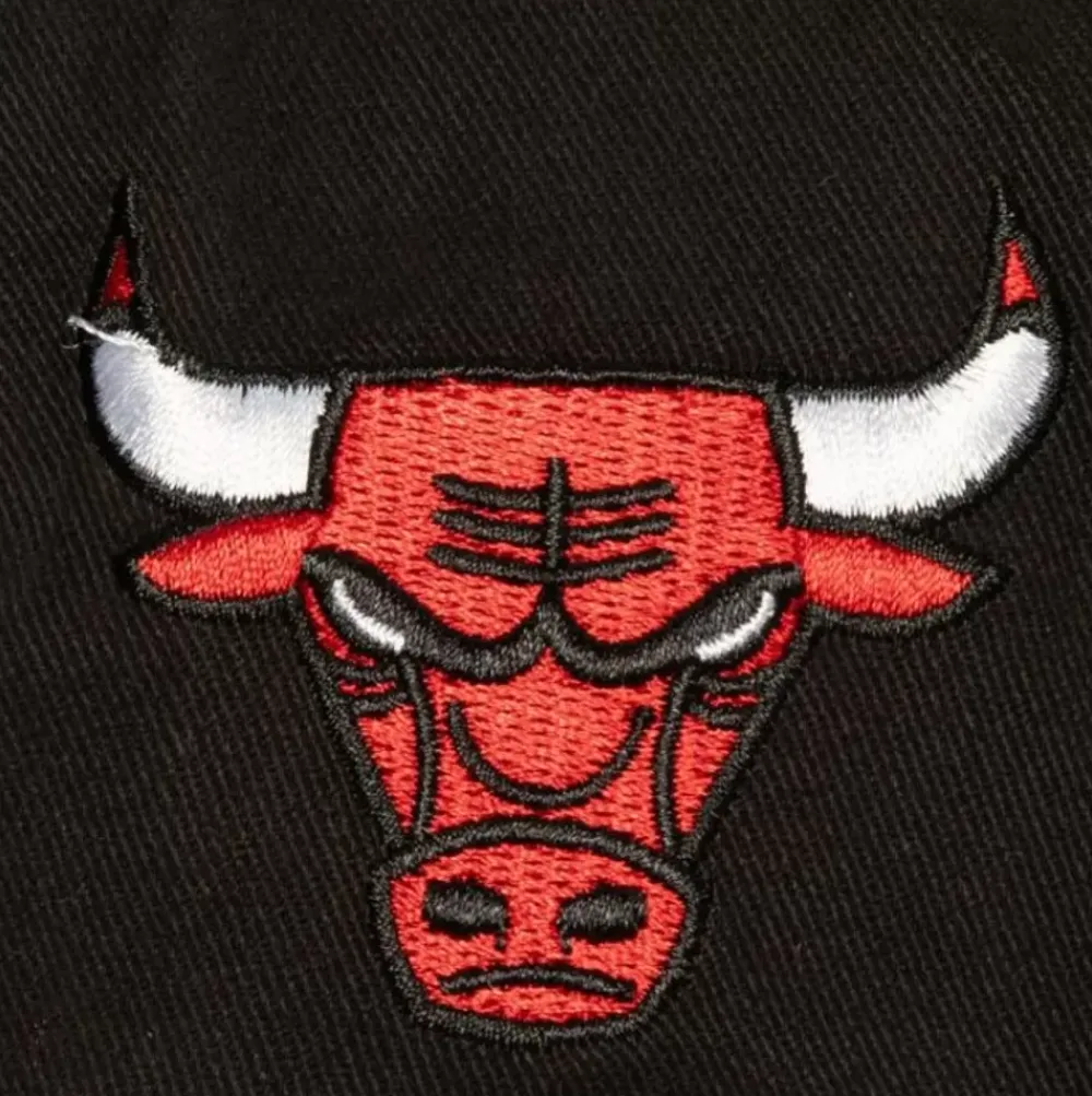 Headwear Mitchell & Ness -Brushed Past Ya Pro Snapback Chicago Bulls