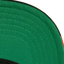 Headwear Mitchell & Ness -Brushed Past Ya Pro Snapback Chicago Bulls