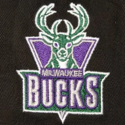 Headwear Mitchell & Ness -Brushed Past Ya Pro Snapback Hwc Milwaukee Bucks