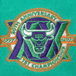 Headwear Mitchell & Ness -Cactus Cooler Fitted Hat Chicago Bulls