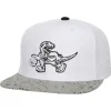 Headwear Mitchell & Ness -Cement Top Snapback Hwc Toronto Raptors