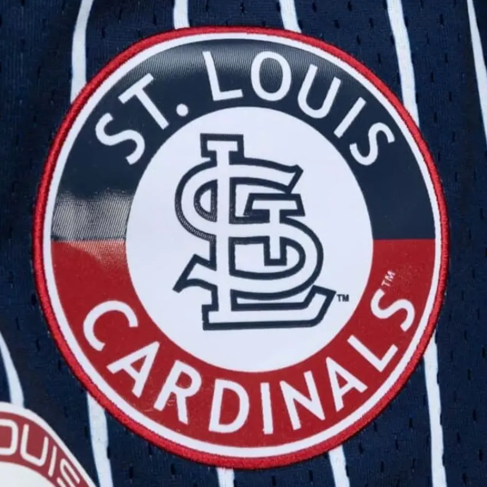 Apparel Mitchell & Ness Shorts-City Collection Mesh Shorts St. Louis Cardinals