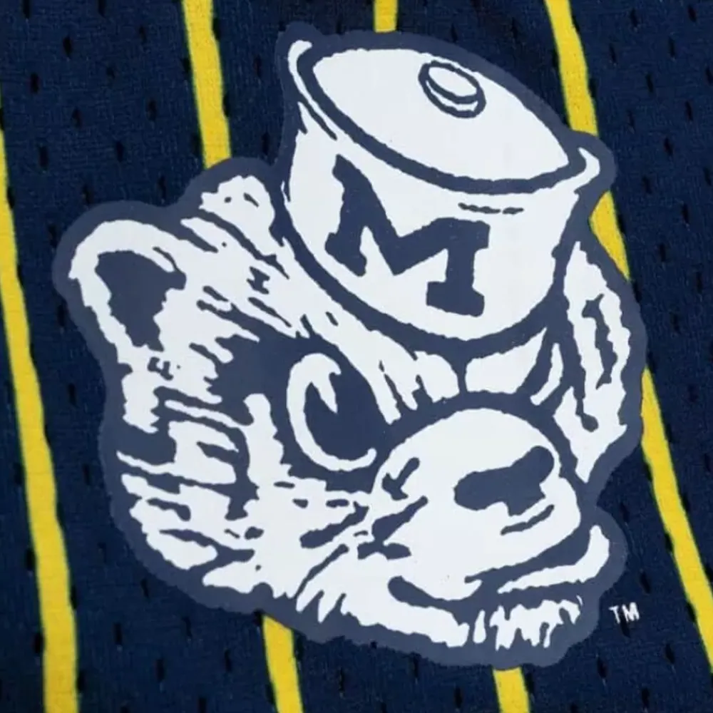 Apparel Mitchell & Ness Shorts-City Collection Mesh Shorts University Of Michigan