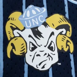 Apparel Mitchell & Ness Shorts-City Collection Mesh Shorts University Of North Carolina