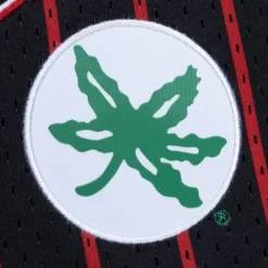 Apparel Mitchell & Ness Shorts-City Collection Mesh Shorts Ohio State