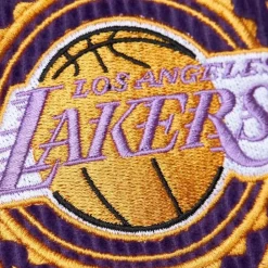 Apparel Mitchell & Ness Shorts-Collegiate Fashion Shorts Los Angeles Lakers