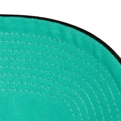 Headwear Mitchell & Ness -Collegiate Pro Snapback Hwc Vancouver Grizzlies