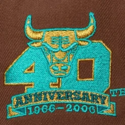 Headwear Mitchell & Ness -Copper Top Fitted Hwc Chicago Bulls