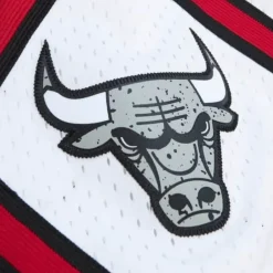 Apparel Mitchell & Ness Shorts-Cracked Cement Swingman Shorts Chicago Bulls 1997-98