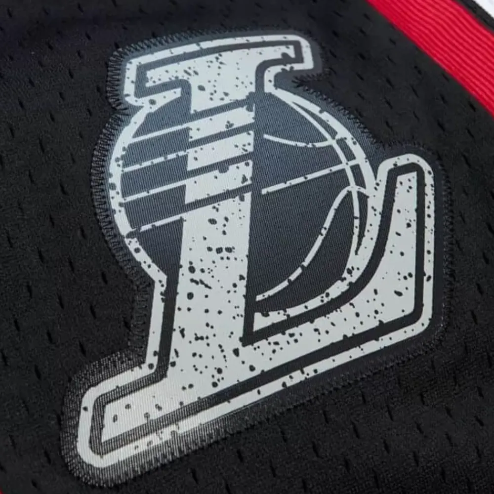 Apparel Mitchell & Ness Shorts-Cracked Cement Swingman Shorts Los Angeles Lakers 2009-10