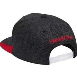 Headwear Mitchell & Ness -Day 5 Snapback Chicago Bulls