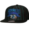 Headwear Mitchell & Ness -Dem Stripes Snapback Hwc Charlotte Hornets