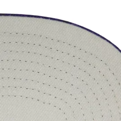 Headwear Mitchell & Ness -Down For All Snapback Hwc Toronto Raptors