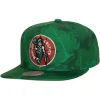 Headwear Mitchell & Ness -Down For All Snapback Hwc Boston Celtics