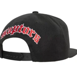 Headwear Mitchell & Ness -English Dropback Snapback Toronto Raptors