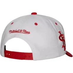 Headwear Mitchell & Ness -Evergreen Pro Snapback Coop St. Louis Cardinals