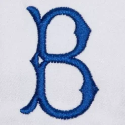 Headwear Mitchell & Ness -Evergreen Pro Snapback Coop Brooklyn Dodgers