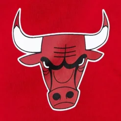 Apparel Mitchell & Ness Shorts-Game Day Ft Shorts Chicago Bulls