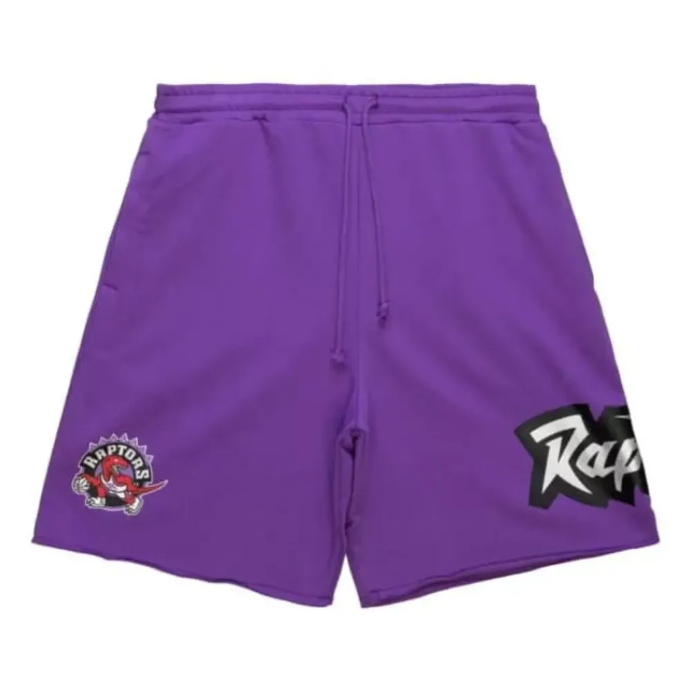 Apparel Mitchell & Ness Shorts-Game Day Ft Shorts Toronto Raptors