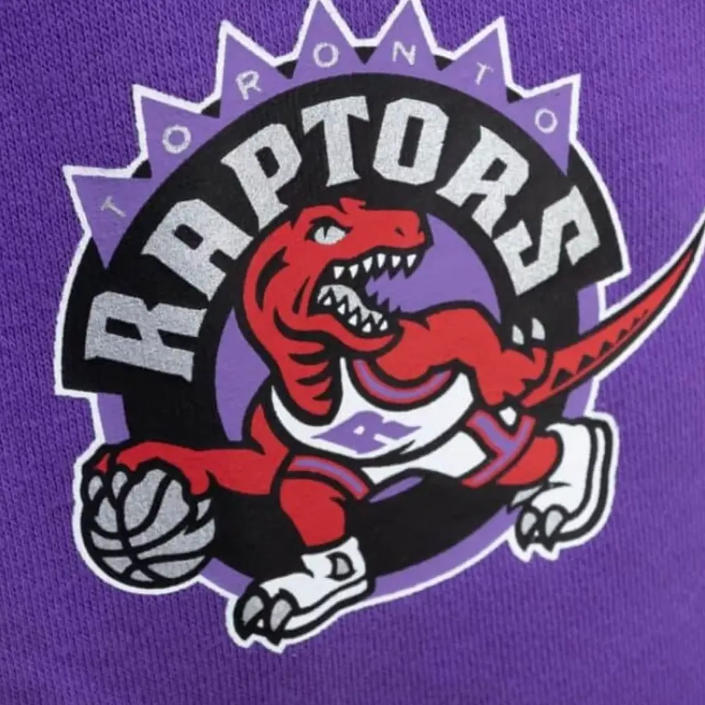 Apparel Mitchell & Ness Shorts-Game Day Ft Shorts Toronto Raptors