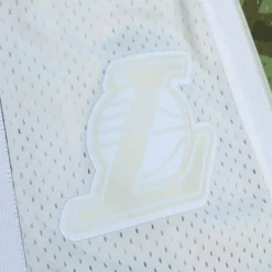 Apparel Mitchell & Ness Shorts-Ghost Green Camo Swingman Los Angeles Lakers 1996-97 Shorts