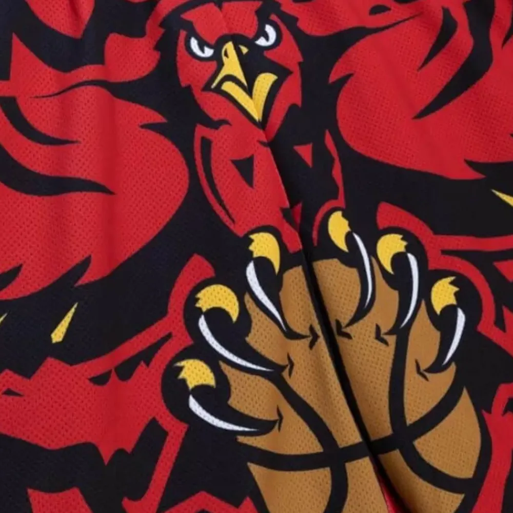 Apparel Mitchell & Ness Shorts-Jumbotron 2.0 Sublimated Shorts Atlanta Hawks