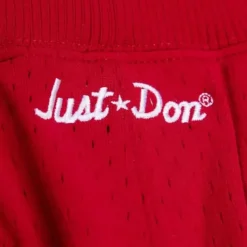 Shorts Mitchell & Ness -Just Don Ninety Six Shorts Philadelphia 76Ers 1996-97