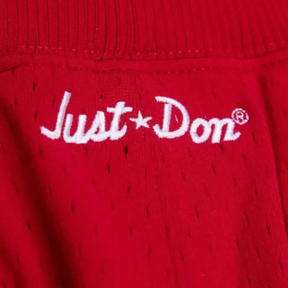 Shorts Mitchell & Ness -Just Don Ninety Six Shorts Philadelphia 76Ers 1996-97