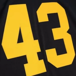 Jerseys Mitchell & Ness -Legacy Troy Polamalu Pittsburgh Steelers Alternate 2008 Jersey