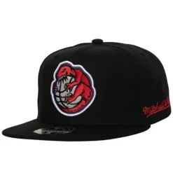 Headwear Mitchell & Ness -Logo History Fitted Hwc Toronto Raptors