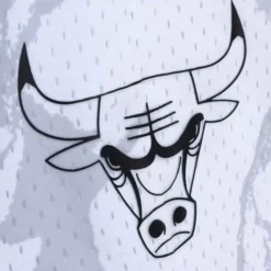 Apparel Mitchell & Ness Shorts-Marble Swingman Chicago Bulls 1997 Shorts