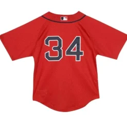 Apparel Mitchell & Ness Big Kids-Mesh Bp Jersey Boston Red Sox 2004 David Ortiz